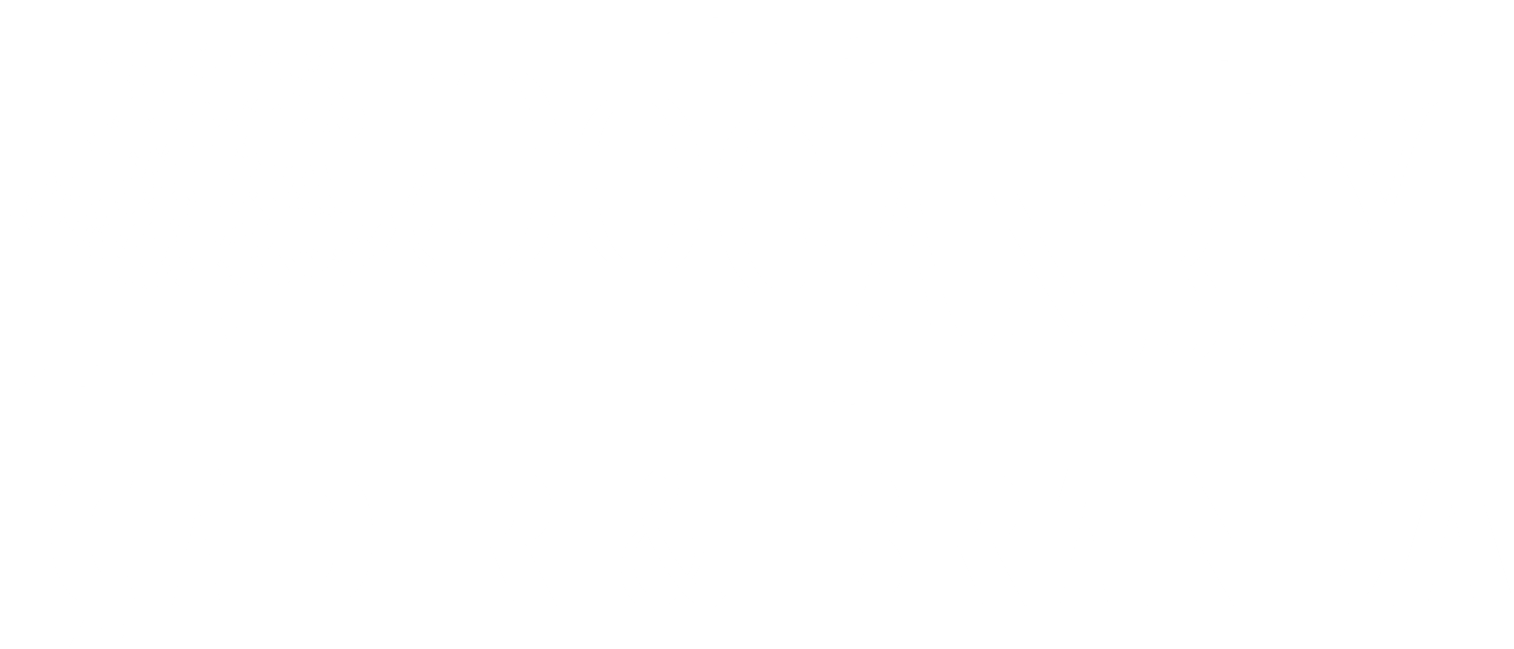 fw-logo